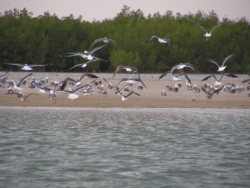 La Lagune de Somone – Sénégal