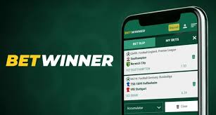 Comprehensive BetWinner Bonus Guide for Players Comprehensive BetWinner Bonus Guide for Players